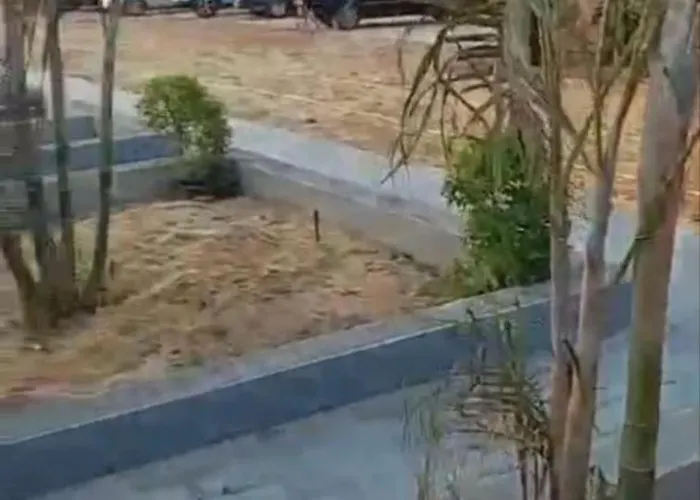 Villa Royal *